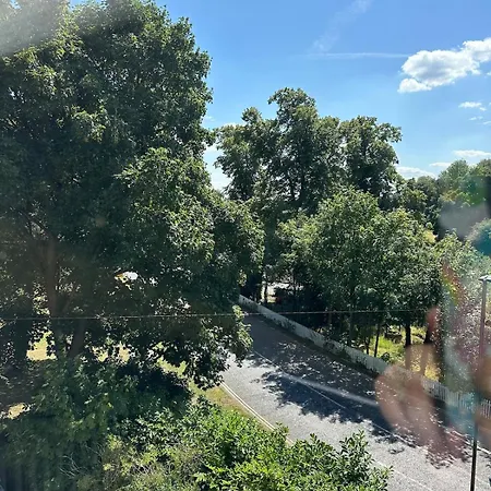 Stunning House Near Racecourse